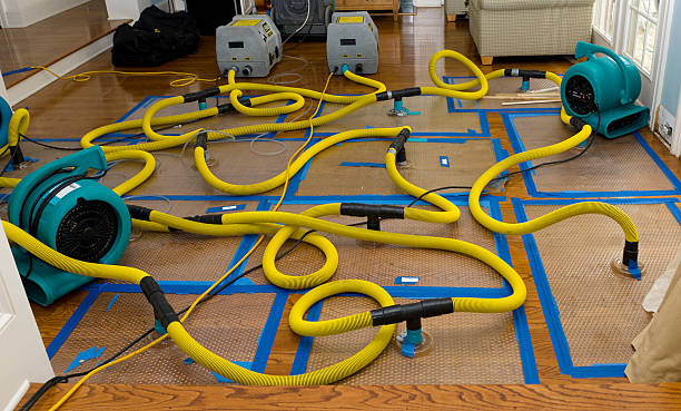 Professional Burst Pipe Water Damage technician working in Hecker, IL