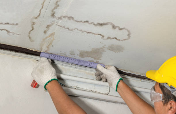 Affordable Burst Pipe Water Damage solutions in Hecker, IL
